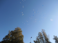 P9210109